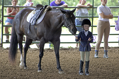 Picture from Catoosa County Saddle Club show