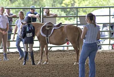 Picture from Catoosa County Saddle Club show