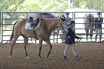 Picture from Catoosa County Saddle Club show