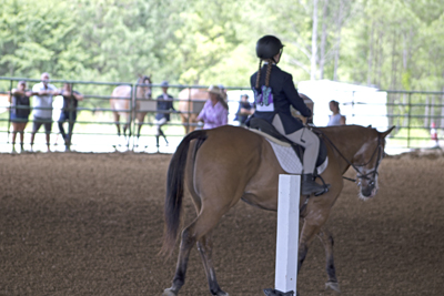 Picture from Catoosa County Saddle Club show