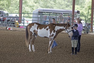 Picture from Catoosa County Saddle Club show