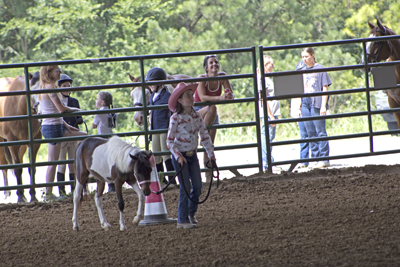 Picture from Catoosa County Saddle Club show