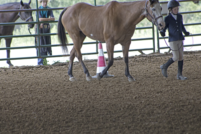 Picture from Catoosa County Saddle Club show