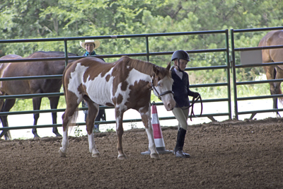 Picture from Catoosa County Saddle Club show