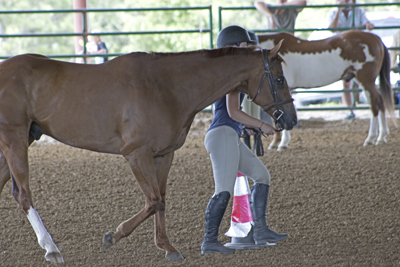 Picture from Catoosa County Saddle Club show