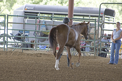 Picture from Catoosa County Saddle Club show