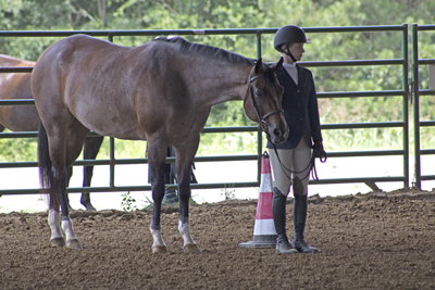 Picture from Catoosa County Saddle Club show