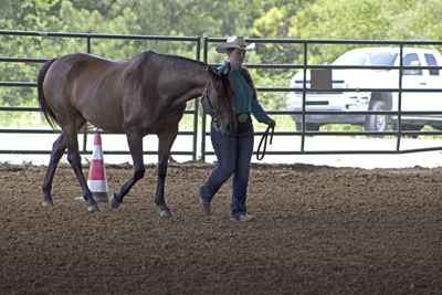 Picture from Catoosa County Saddle Club show