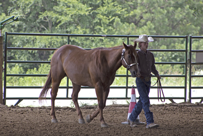 Picture from Catoosa County Saddle Club show