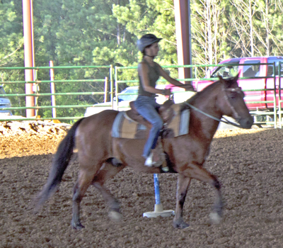 Picture from Catoosa County Saddle Club show