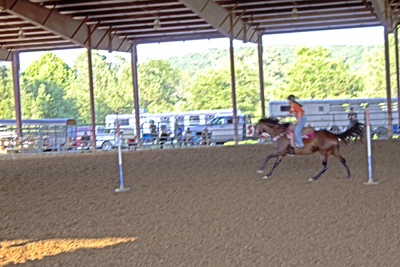 Picture from Catoosa County Saddle Club show
