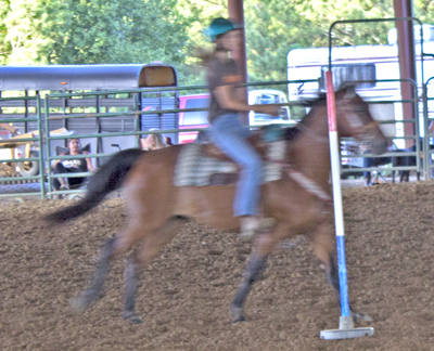 Picture from Catoosa County Saddle Club show