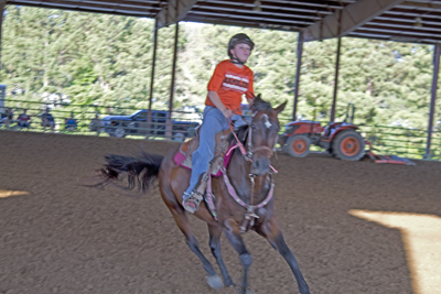 Picture from Catoosa County Saddle Club show
