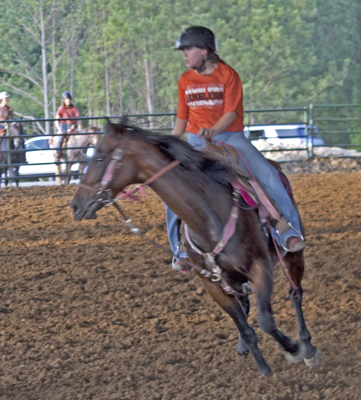 Picture from Catoosa County Saddle Club show
