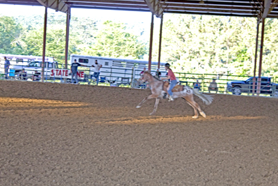 Picture from Catoosa County Saddle Club show
