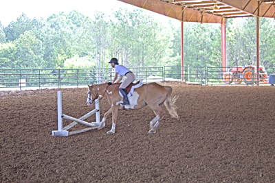 Picture from Catoosa County Saddle Club show