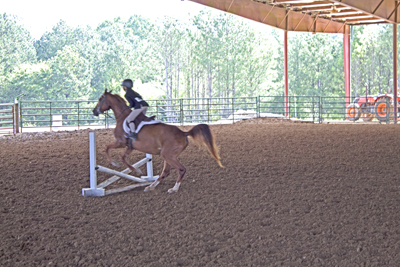 Picture from Catoosa County Saddle Club show