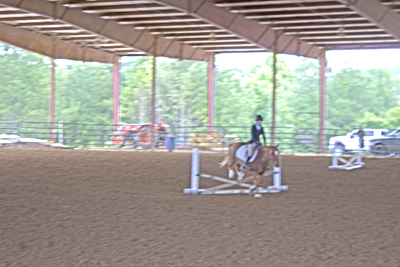 Picture from Catoosa County Saddle Club show