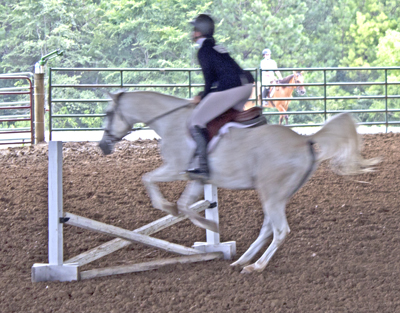 Picture from Catoosa County Saddle Club show