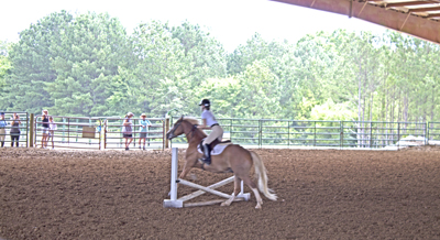 Picture from Catoosa County Saddle Club show