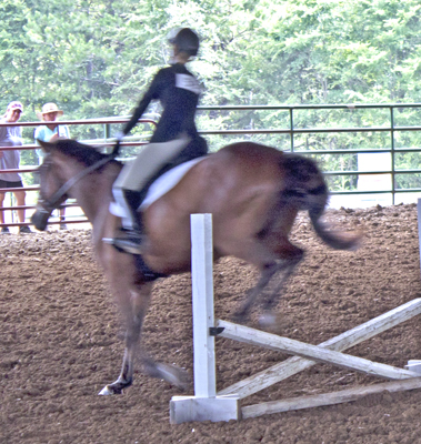 Picture from Catoosa County Saddle Club show