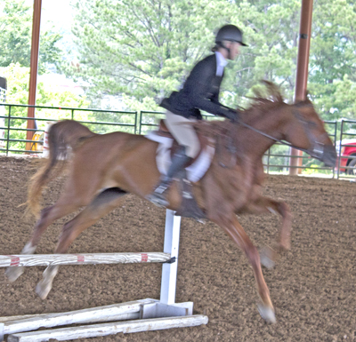 Picture from Catoosa County Saddle Club show