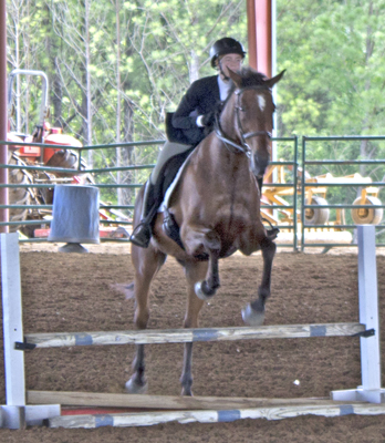 Picture from Catoosa County Saddle Club show