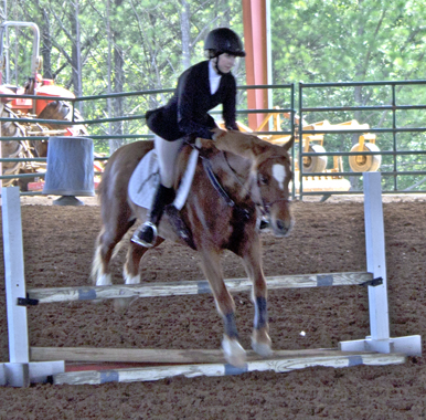 Picture from Catoosa County Saddle Club show