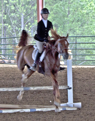 Picture from Catoosa County Saddle Club show