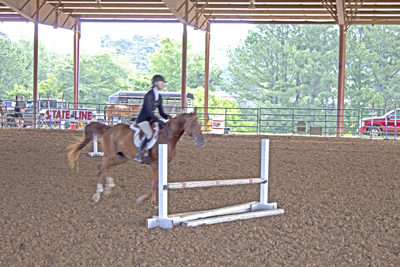 Picture from Catoosa County Saddle Club show