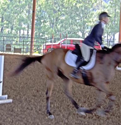Picture from Catoosa County Saddle Club show