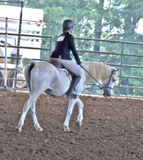 Picture from Catoosa County Saddle Club show