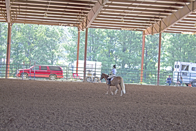 Picture from Catoosa County Saddle Club show