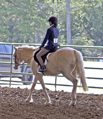 Picture from Catoosa County Saddle Club show