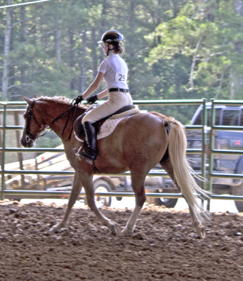 Picture from Catoosa County Saddle Club show