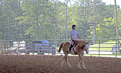Picture from Catoosa County Saddle Club show