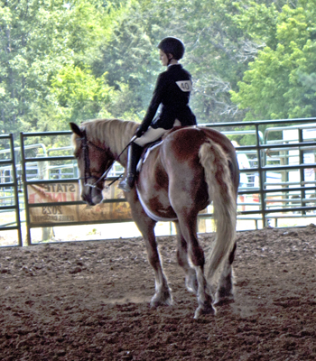 Picture from Catoosa County Saddle Club show