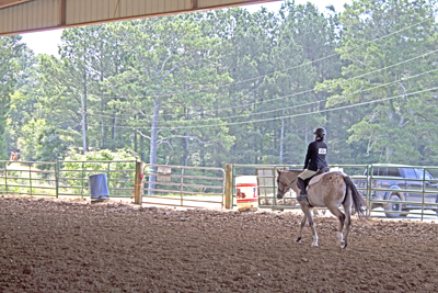 Picture from Catoosa County Saddle Club show