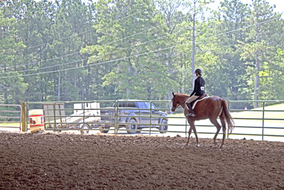 Picture from Catoosa County Saddle Club show