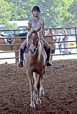 Picture from Catoosa County Saddle Club show