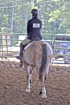 Picture from Catoosa County Saddle Club show