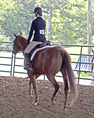 Picture from Catoosa County Saddle Club show