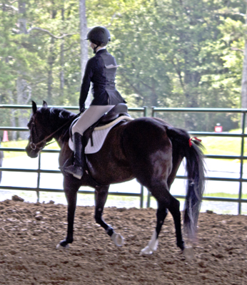 Picture from Catoosa County Saddle Club show