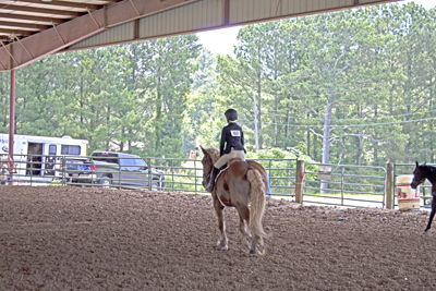 Picture from Catoosa County Saddle Club show