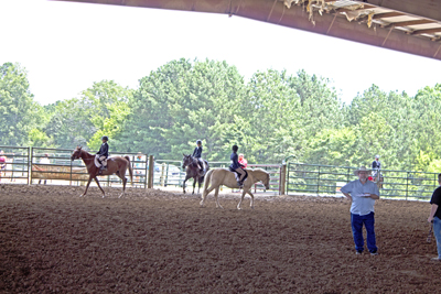 Picture from Catoosa County Saddle Club show