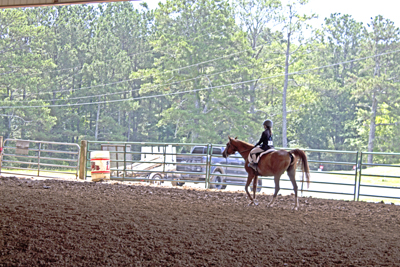 Picture from Catoosa County Saddle Club show