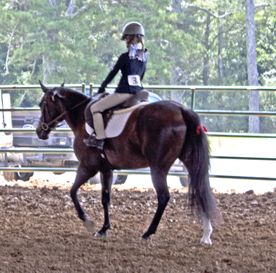 Picture from Catoosa County Saddle Club show