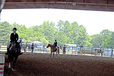 Picture from Catoosa County Saddle Club show