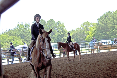 Picture from Catoosa County Saddle Club show