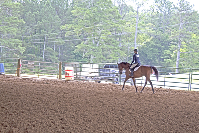 Picture from Catoosa County Saddle Club show